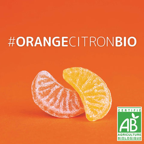 Tranche Orange Citron BIO