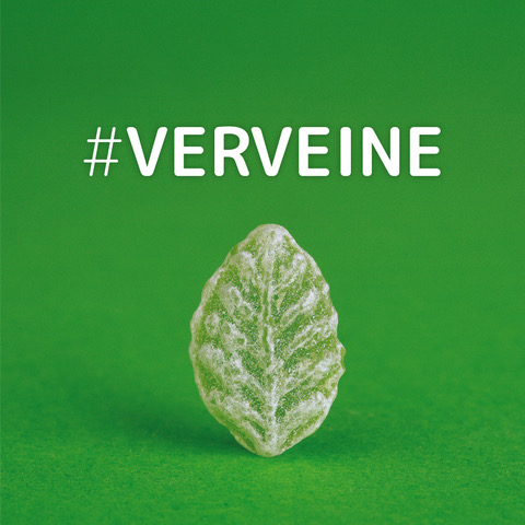 Feuilles de verveine